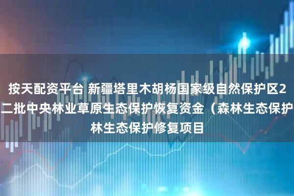 按天配资平台 新疆塔里木胡杨国家级自然保护区2025年第二批中央林业草原生态保护恢复资金（森林生态保护修复项目